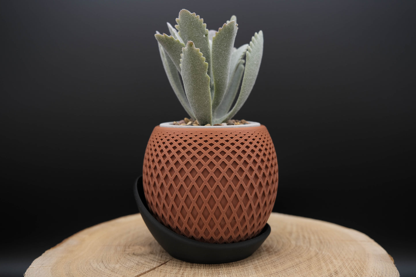 GeoVase „Terracotta Curve“ – Mit passendem Untersetzer
