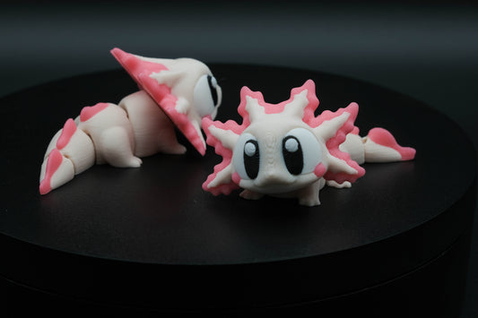 Axolotl